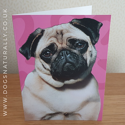 Pug Jazzy Greetings Card
